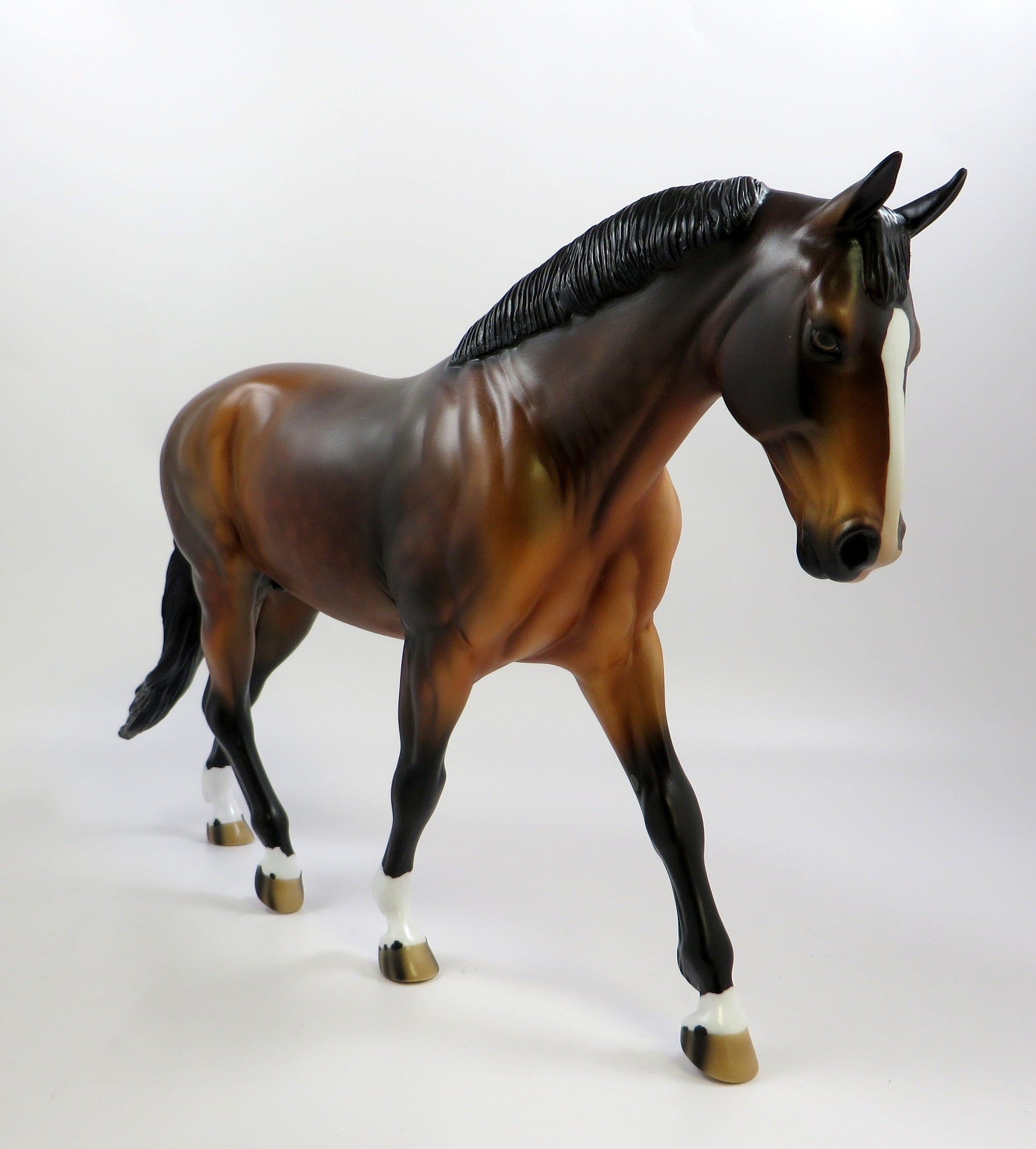 JERSEY SHORE-OOAK DAPPLE BAY IRISH DRAFT BY AUDREY DIXON 5/23/19