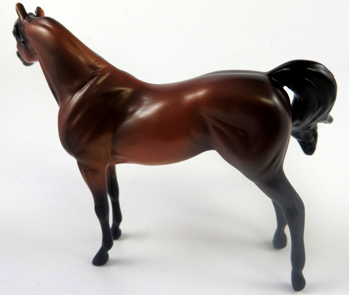 LADY BABS -OOAK BAY CM ARABIAN CHIP BY MISSY FOX LHS19