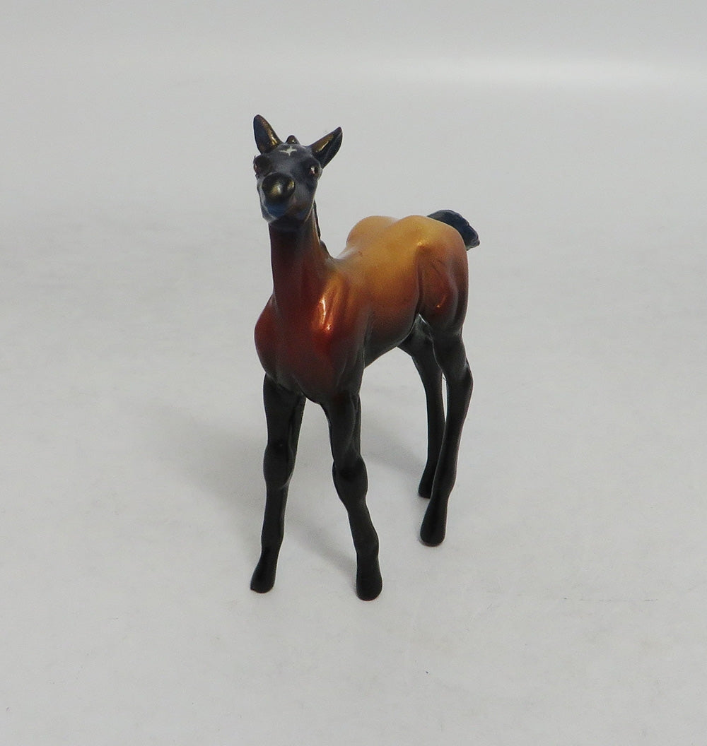 MY LITTLE EYE- LE-5- FALL DECOR FOAL CHIP LHS 2018
