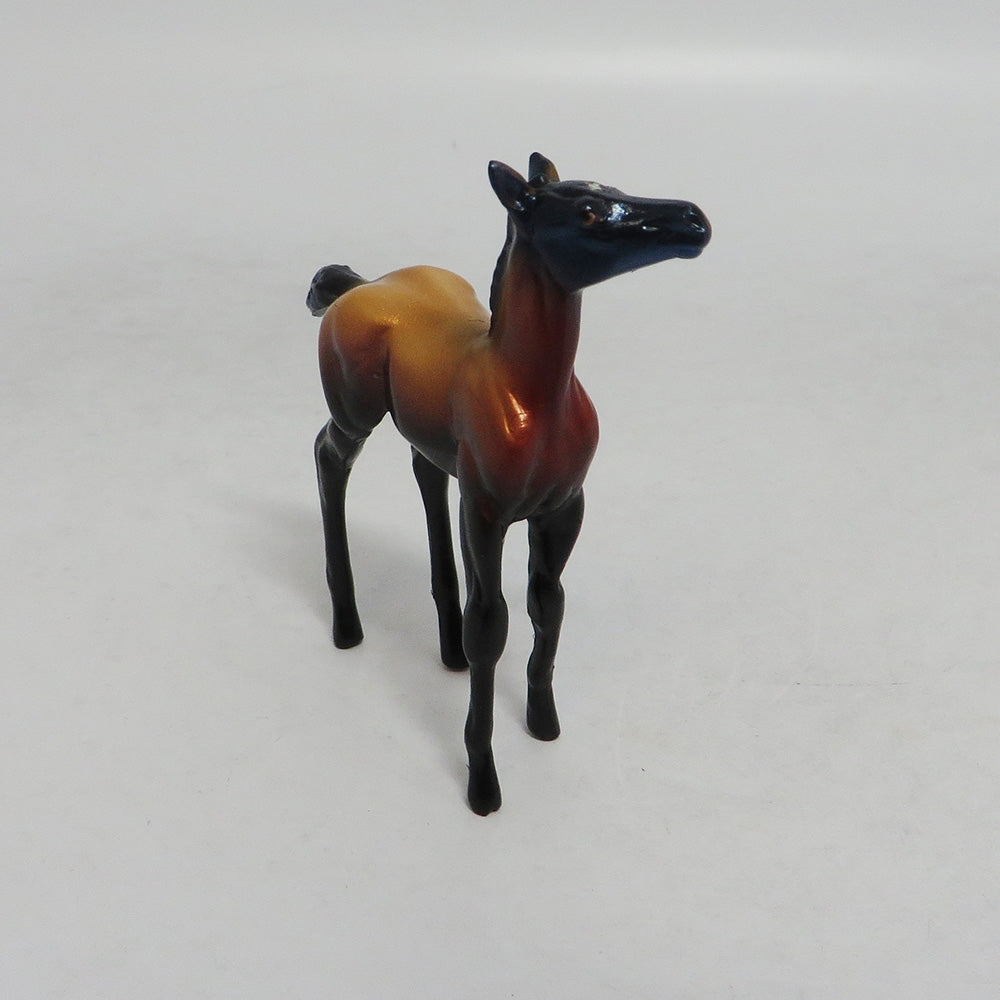 MY LITTLE EYE- LE-5- FALL DECOR FOAL CHIP LHS 2018