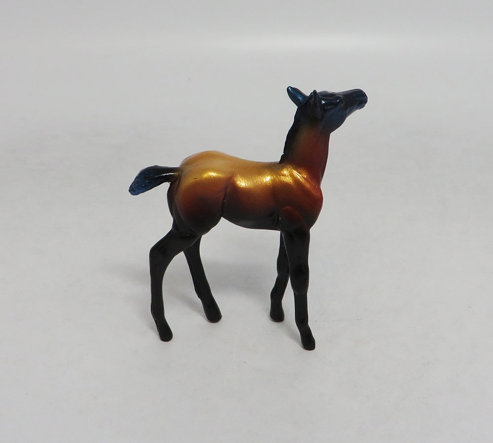 MY LITTLE EYE- LE-5- FALL DECOR FOAL CHIP LHS 2018