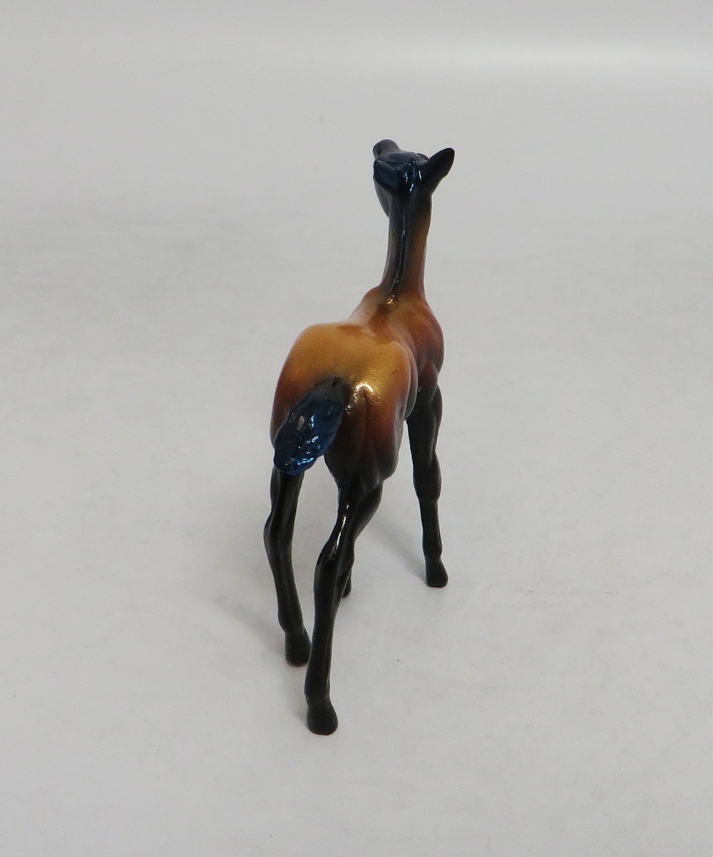 MY LITTLE EYE- LE-5- FALL DECOR FOAL CHIP LHS 2018