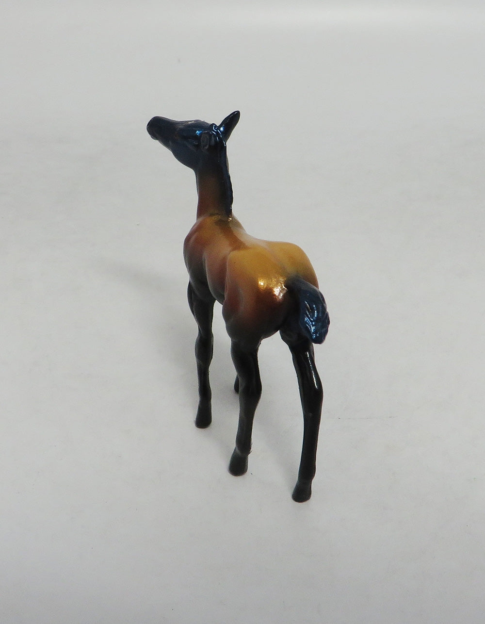 MY LITTLE EYE- LE-5- FALL DECOR FOAL CHIP LHS 2018