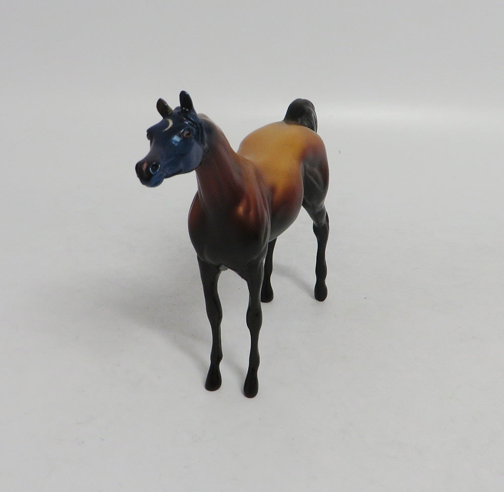 SHERLOCK HOOF- LE-5- ARABIAN DECORATOR CHIP LHS 2018