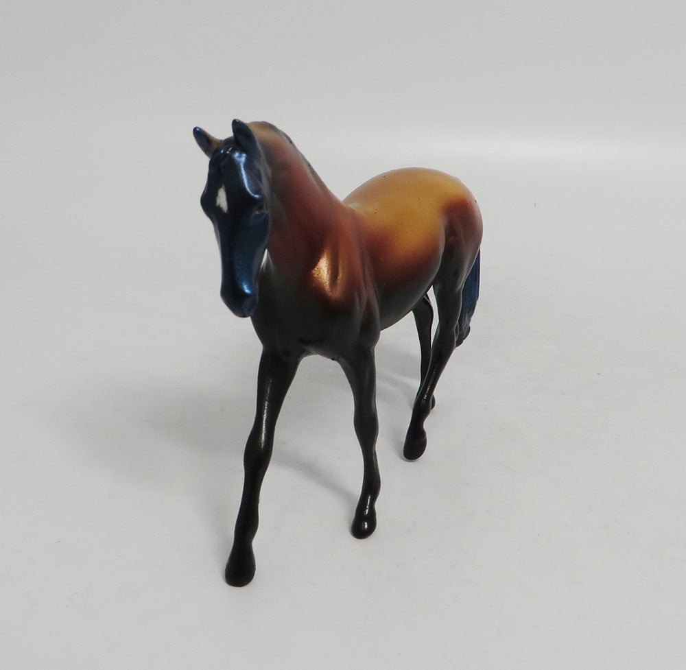 ARCHER- LE-5- WARMBLOOD FALL DECORATOR CHIP LHS 2018