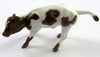 TORNADO -- OOAK LIGHT  BROWN PAINT COW BY ANDREA THOMASON LHS 19