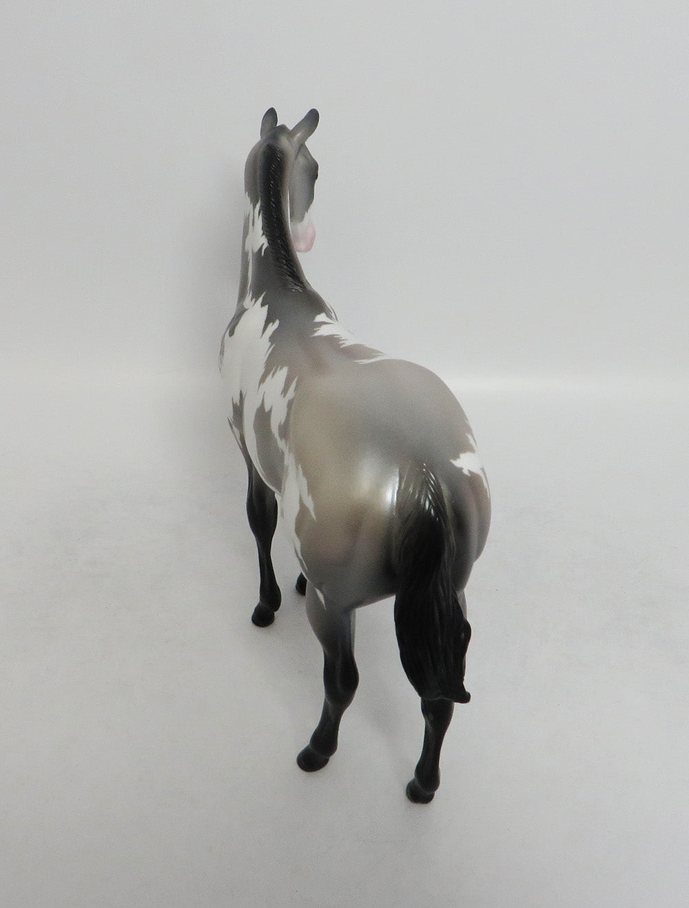 TRINITY- SILVER PINTO WEANLING MODEL HORSE BY AUDREY DIXON 9/11/2018