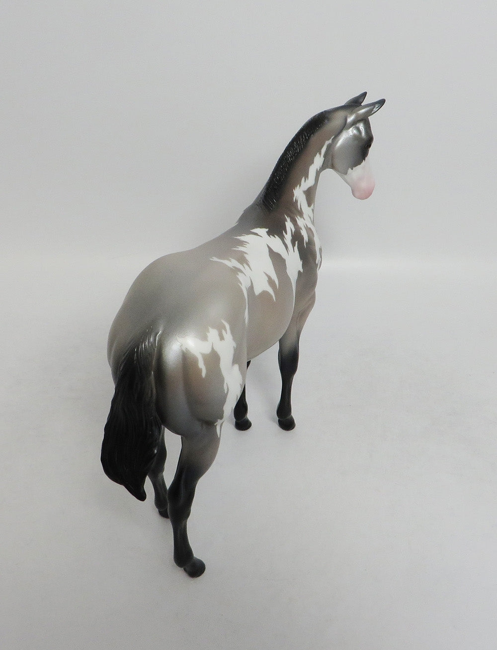 TRINITY- SILVER PINTO WEANLING MODEL HORSE BY AUDREY DIXON 9/11/2018