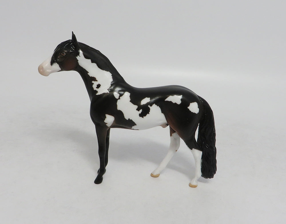 UNCLE FREDDY- OOAK DARK BROWN PAINT ANDALUSIAN CHIP BY JAS FANNING LHS 2018
