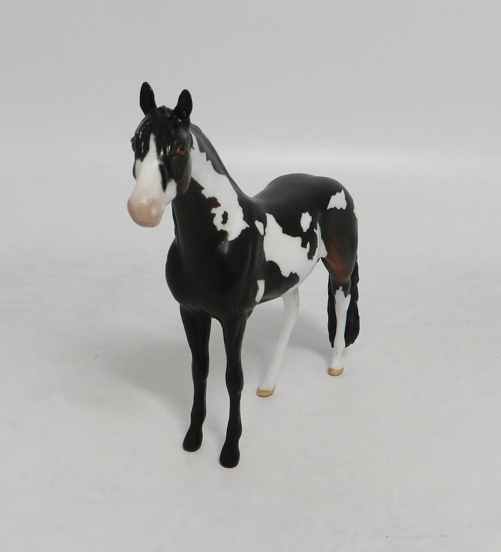 UNCLE FREDDY- OOAK DARK BROWN PAINT ANDALUSIAN CHIP BY JAS FANNING LHS 2018