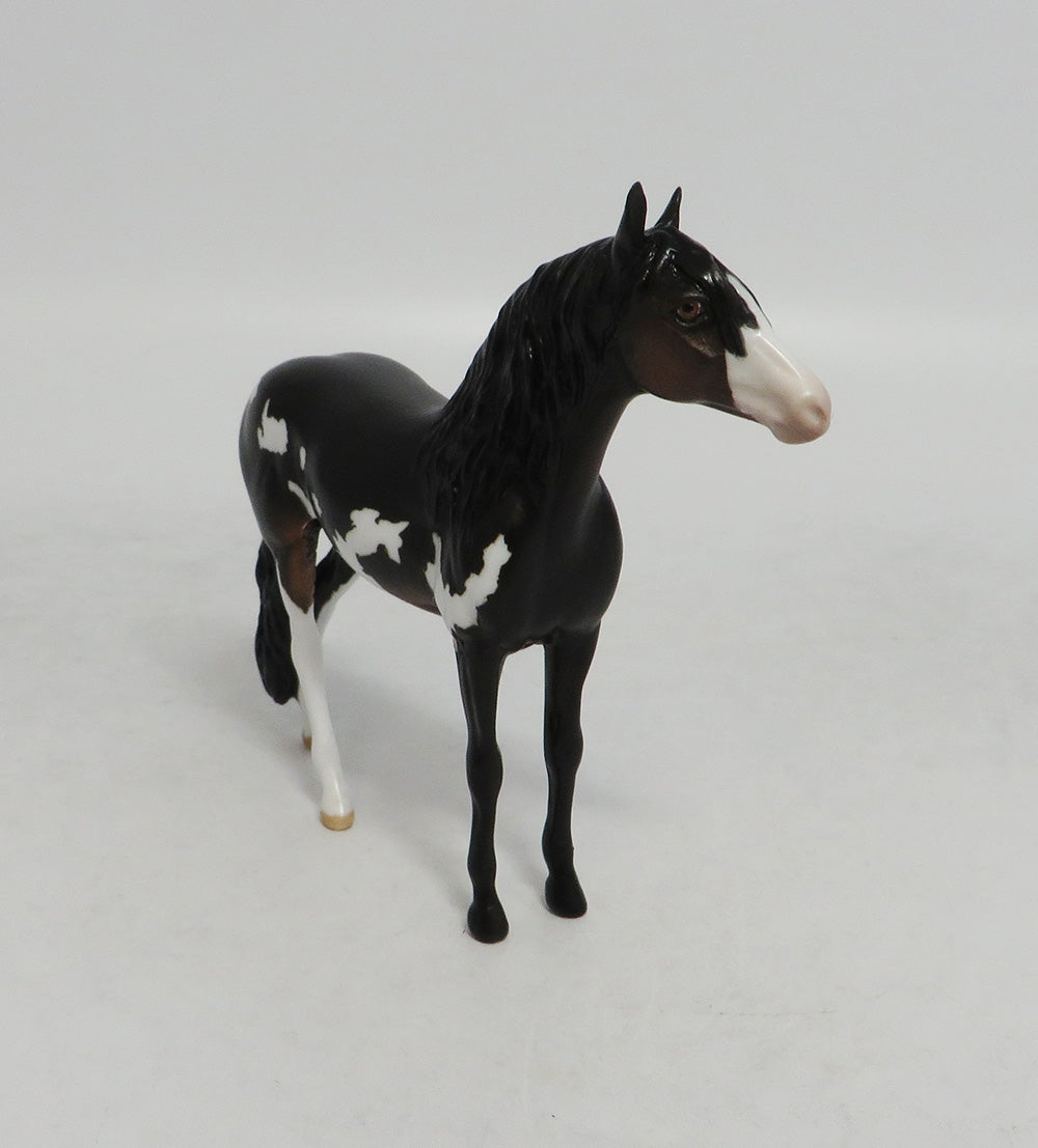 UNCLE FREDDY- OOAK DARK BROWN PAINT ANDALUSIAN CHIP BY JAS FANNING LHS 2018
