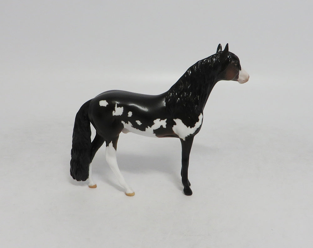 UNCLE FREDDY- OOAK DARK BROWN PAINT ANDALUSIAN CHIP BY JAS FANNING LHS 2018