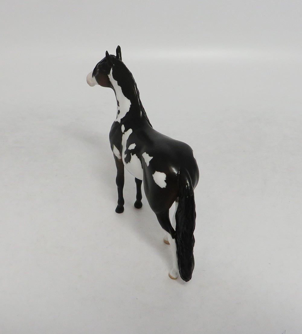 UNCLE FREDDY- OOAK DARK BROWN PAINT ANDALUSIAN CHIP BY JAS FANNING LHS 2018