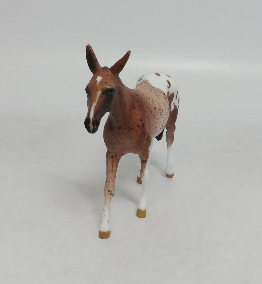 THRILLERS SECRET- OOAK APPALOOSA MULE CHIP BY JAS FANNING LHS 2018
