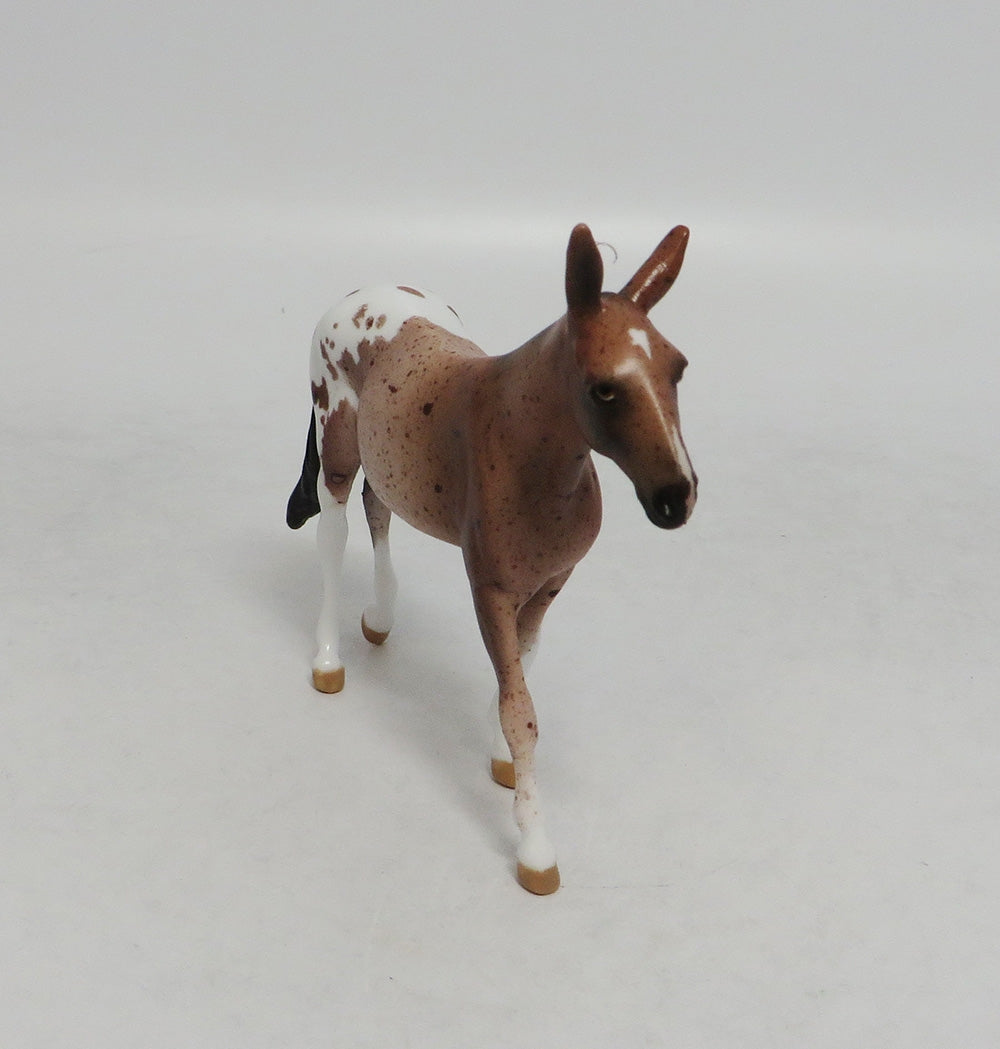 THRILLERS SECRET- OOAK APPALOOSA MULE CHIP BY JAS FANNING LHS 2018