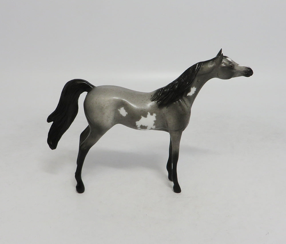 LED ZEPPELIN- OOAK ROAN PINTALOOSA  ARABIAN  CHIP BY JAS FANNING LHS 2018