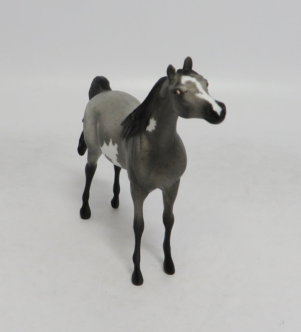 LED ZEPPELIN- OOAK ROAN PINTALOOSA  ARABIAN  CHIP BY JAS FANNING LHS 2018