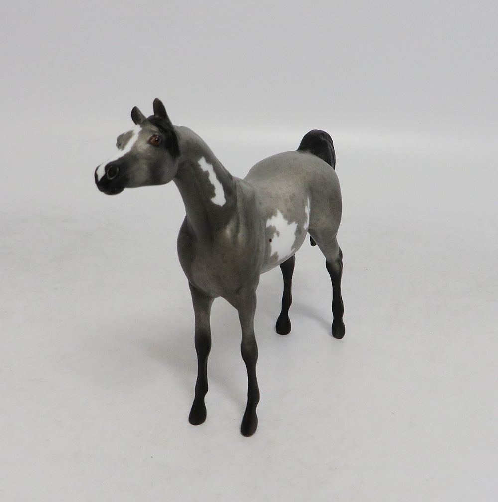 LED ZEPPELIN- OOAK ROAN PINTALOOSA  ARABIAN  CHIP BY JAS FANNING LHS 2018