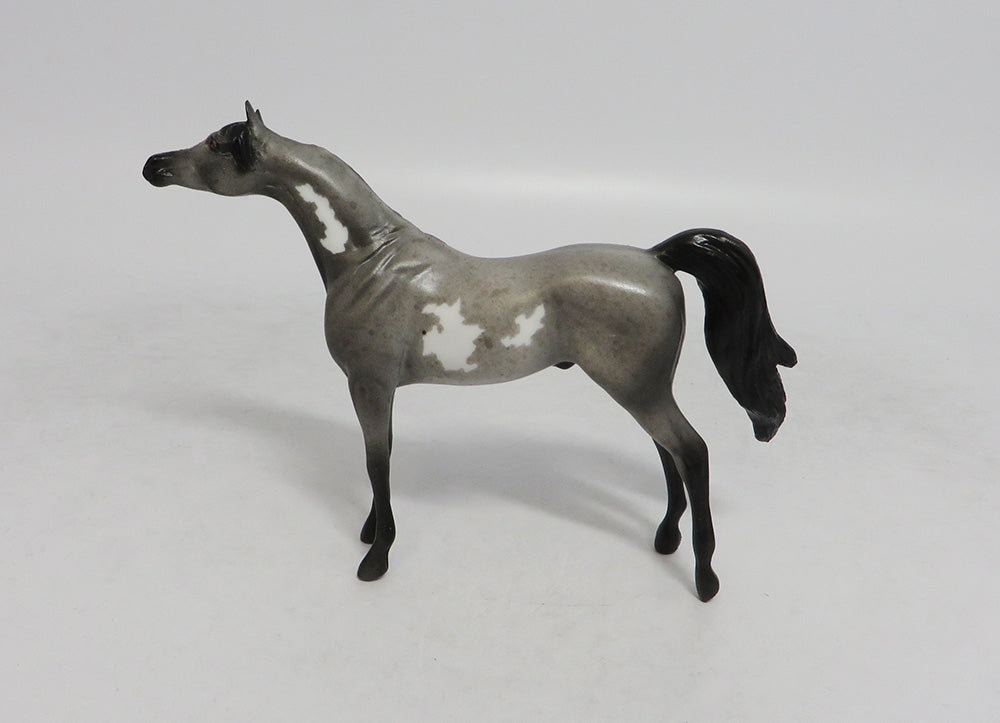 LED ZEPPELIN- OOAK ROAN PINTALOOSA  ARABIAN  CHIP BY JAS FANNING LHS 2018