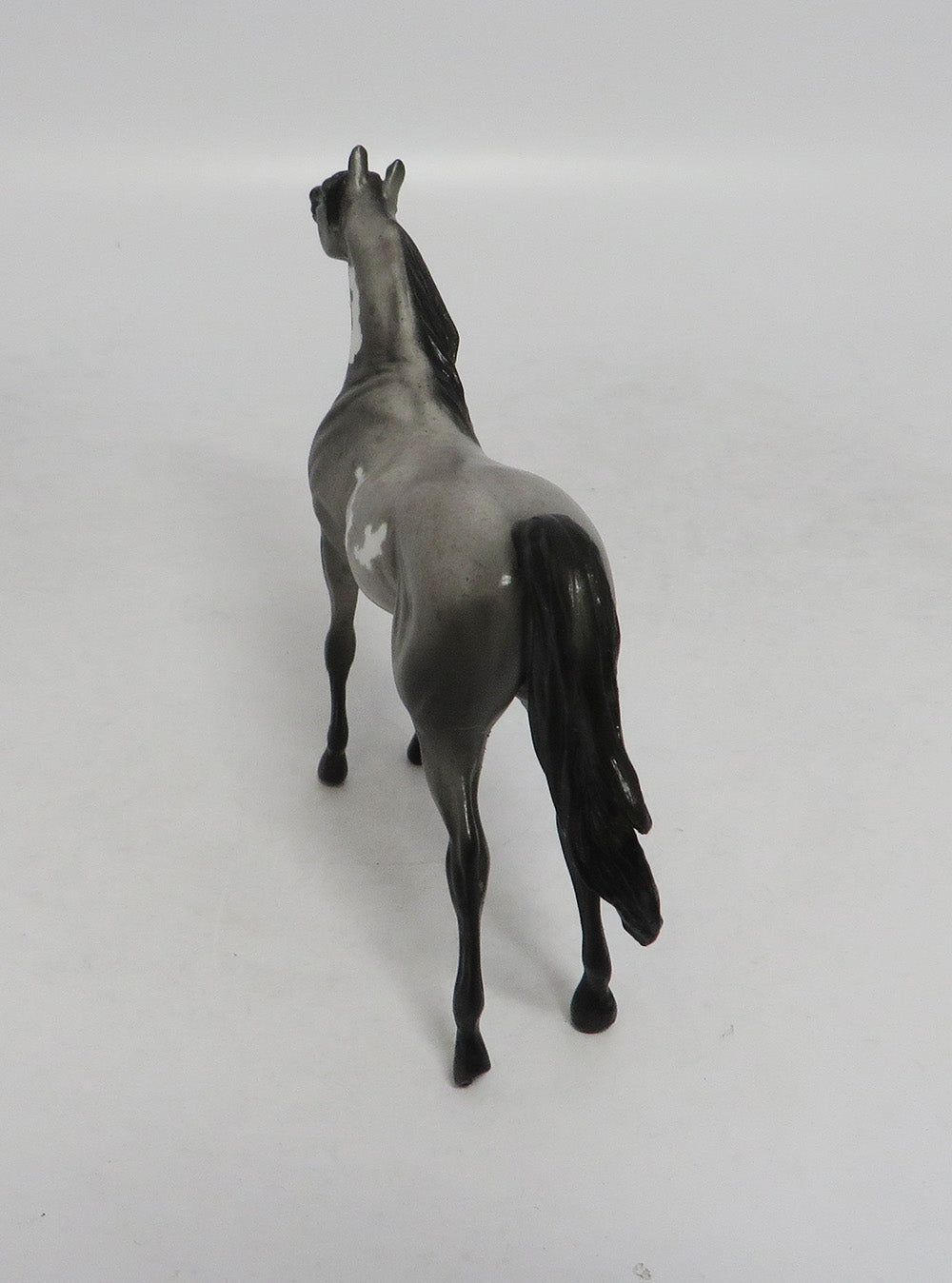 LED ZEPPELIN- OOAK ROAN PINTALOOSA  ARABIAN  CHIP BY JAS FANNING LHS 2018