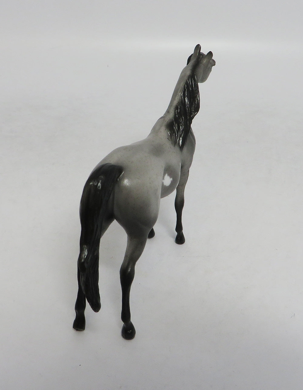 LED ZEPPELIN- OOAK ROAN PINTALOOSA  ARABIAN  CHIP BY JAS FANNING LHS 2018