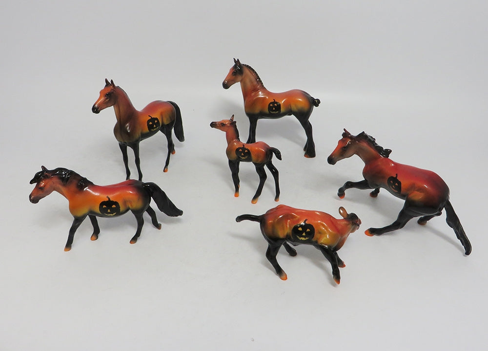 COOKIE MONSTER- ORANGE LE- PONY MODEL CHIP 9/21/2018