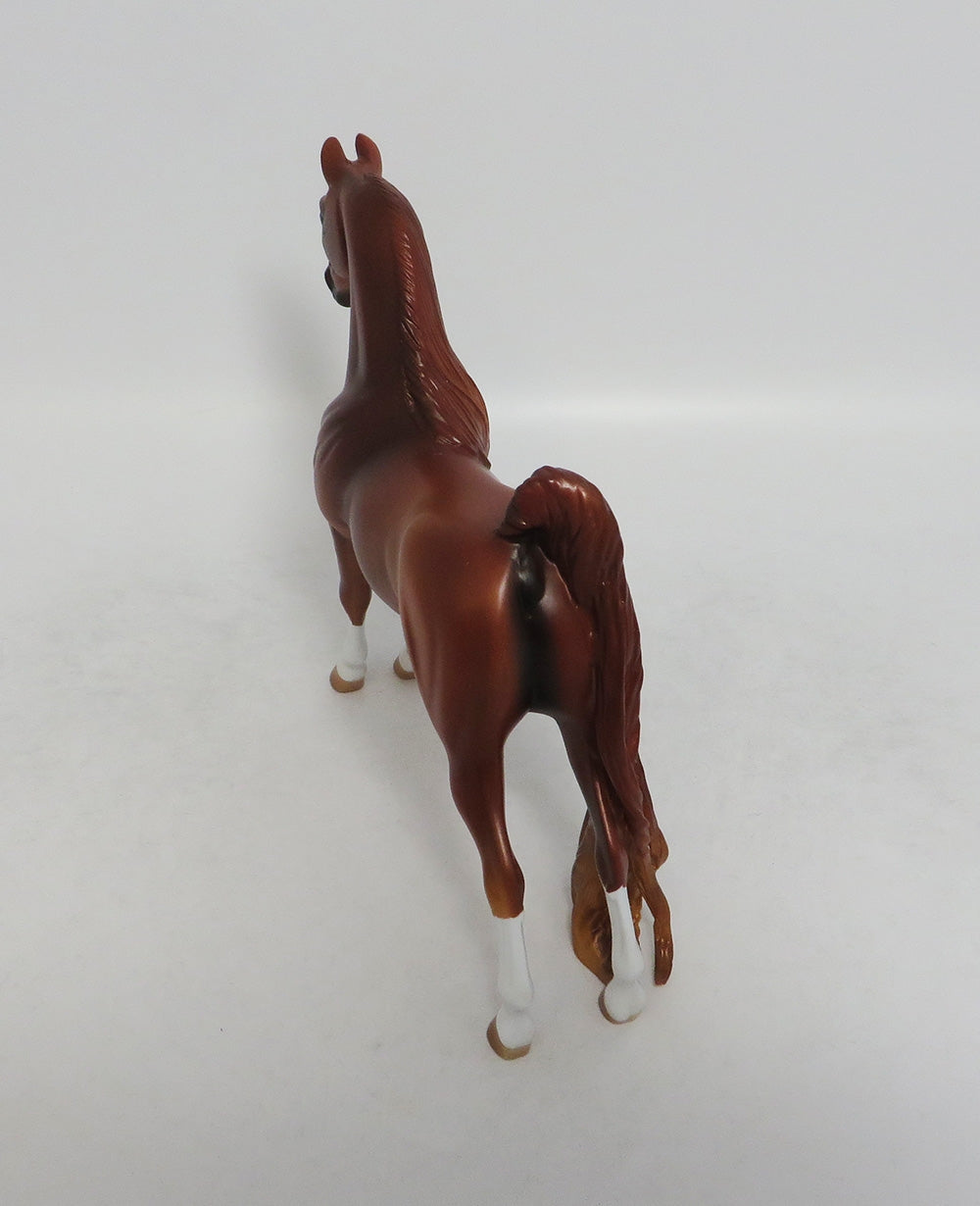 CARRIE CHESNUT- LE-10- CHESNUT CM SADDLEBRED PEBBLE LHS 2018