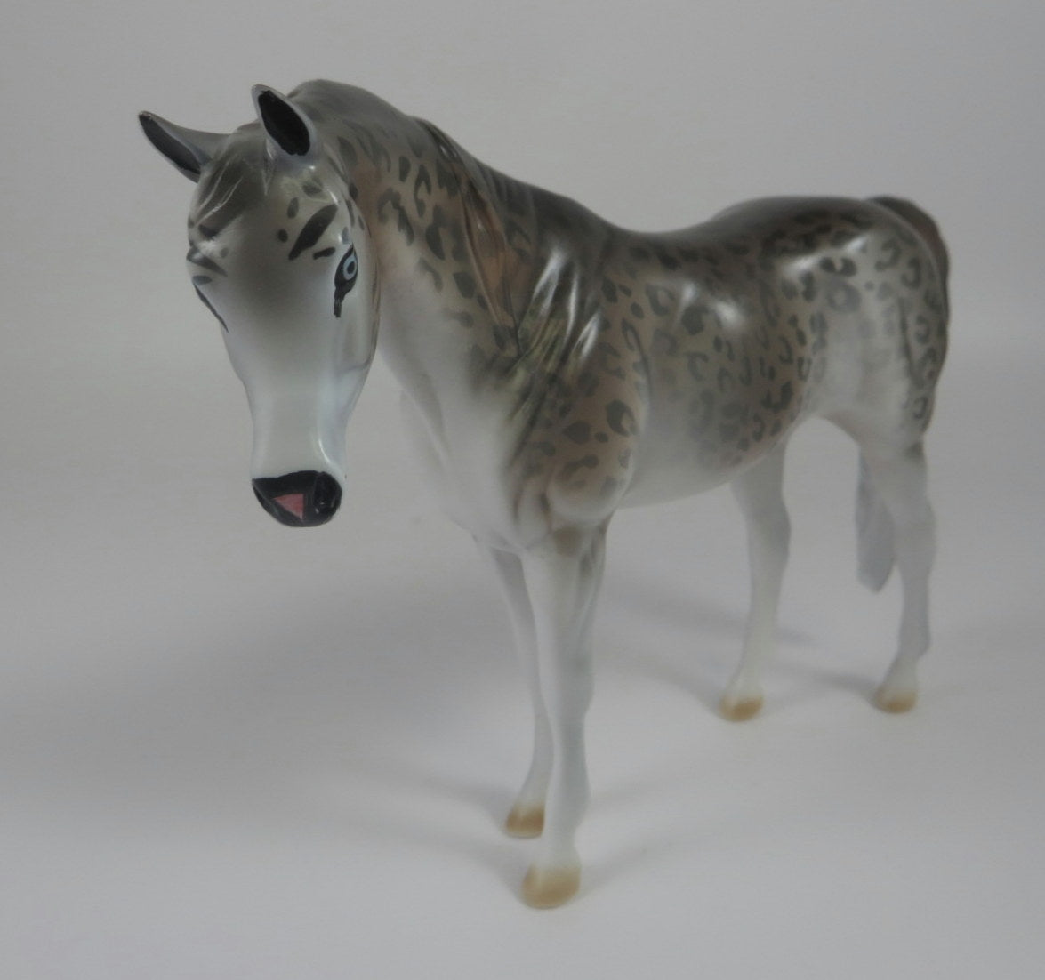 SNOW LEOPARD -- LE-10 SNOW LEOPARD ARABIAN PEBBLES BY DAWN QUICK LHS 19