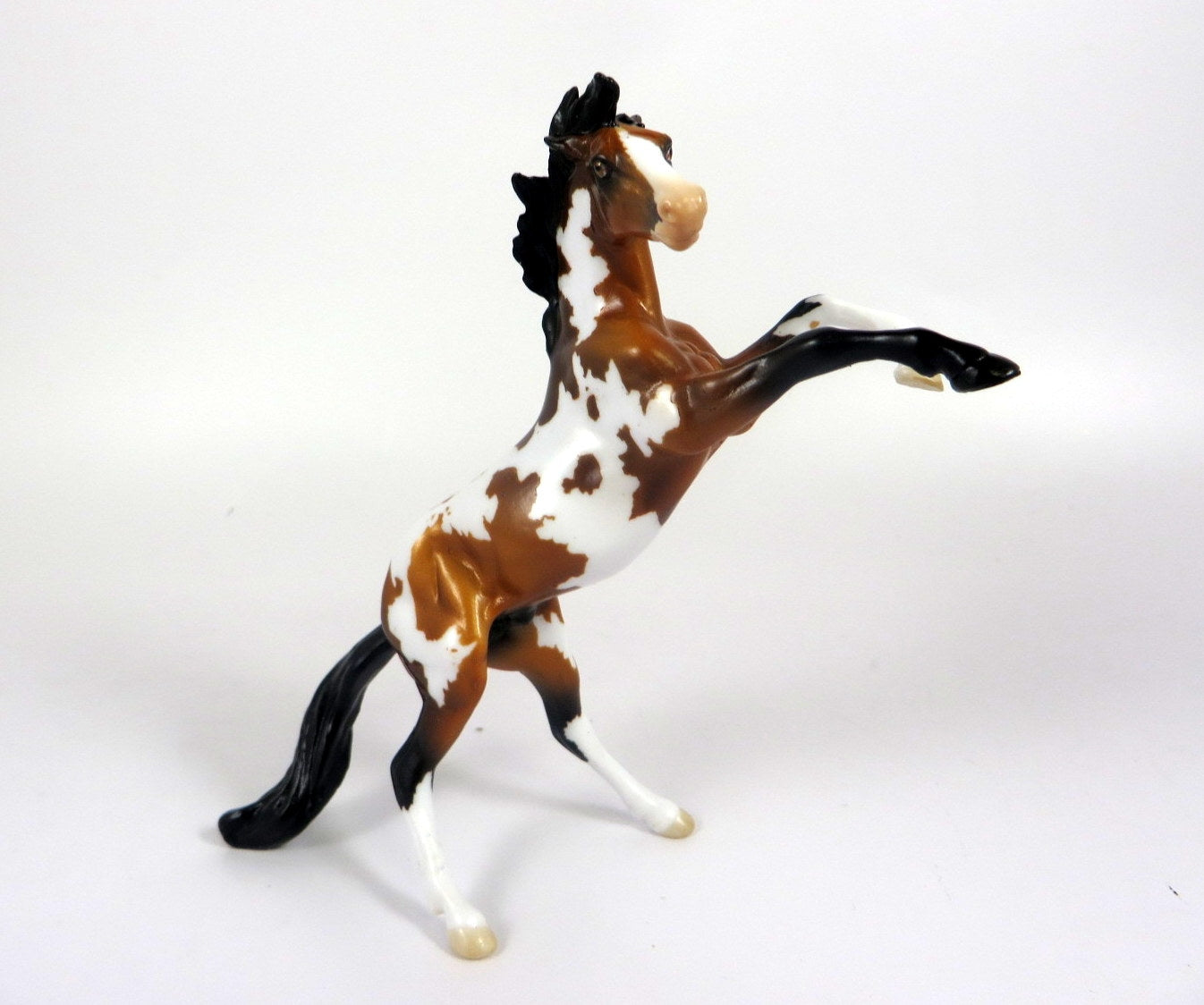 CHUCKLES -- LE-6 BAY PINTO REARING CHIP BY AUDREY DIXON LHS 19