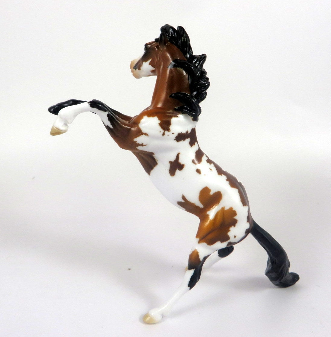 CHUCKLES -- LE-6 BAY PINTO REARING CHIP BY AUDREY DIXON LHS 19