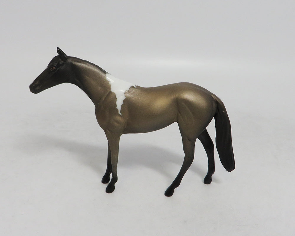 WONDERWALL- OOAK THOROUGHBRED BROWN PINTO CHIP 09/19/2019
