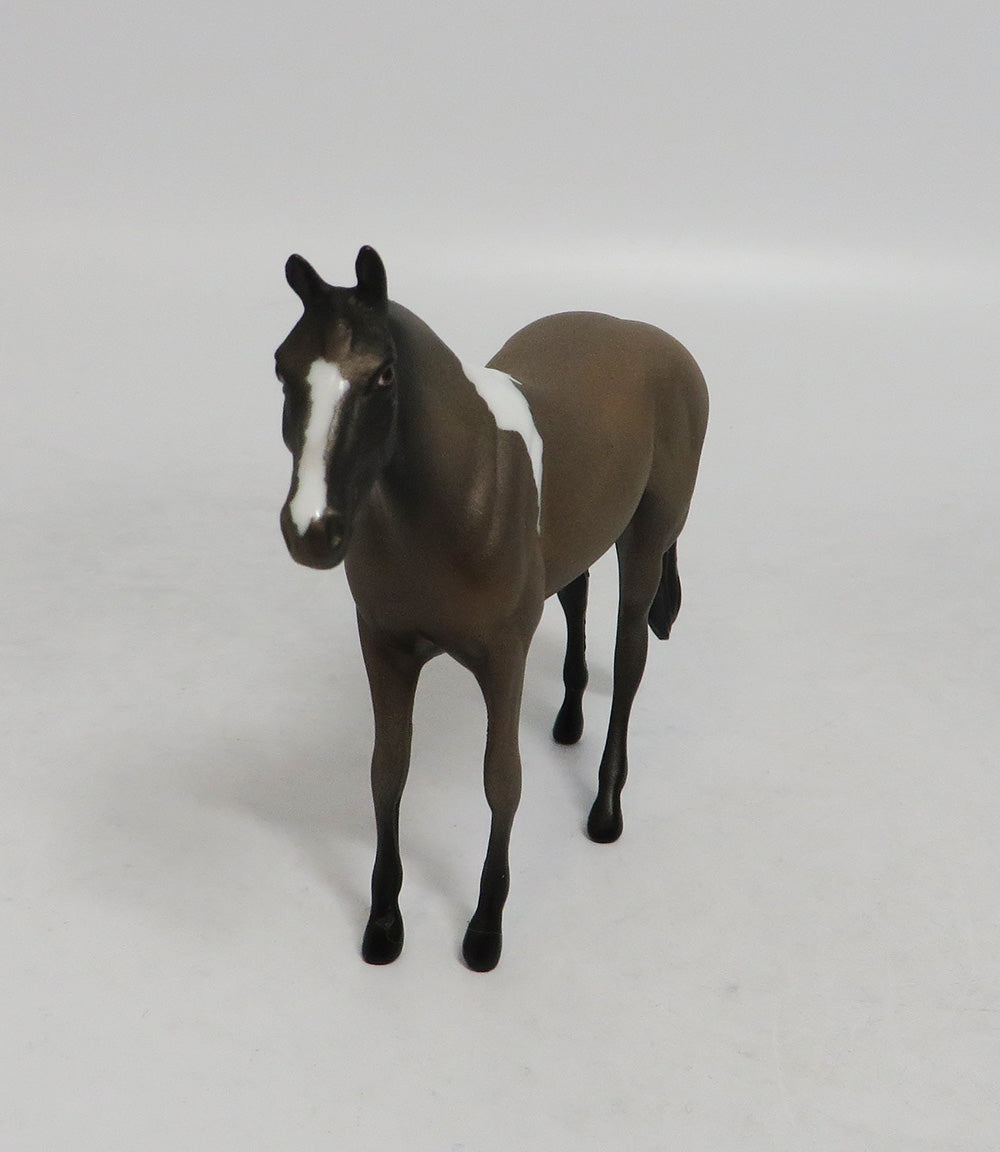 WONDERWALL- OOAK THOROUGHBRED BROWN PINTO CHIP 09/19/2019