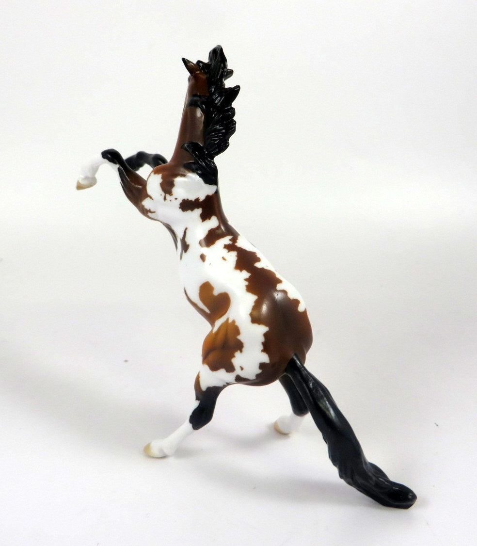 CHUCKLES -- LE-6 BAY PINTO REARING CHIP BY AUDREY DIXON LHS 19