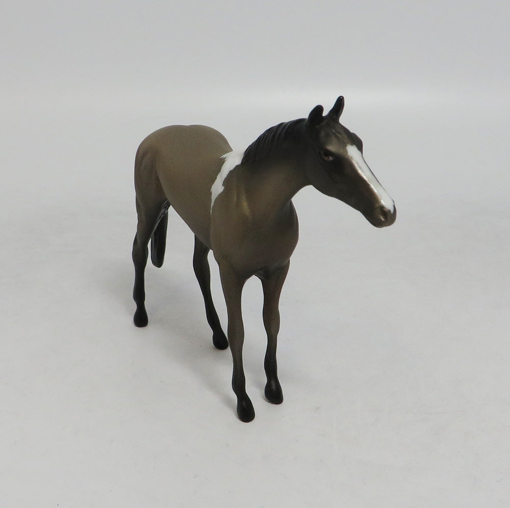 WONDERWALL- OOAK THOROUGHBRED BROWN PINTO CHIP 09/19/2019
