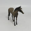 WONDERWALL- OOAK THOROUGHBRED BROWN PINTO CHIP 09/19/2019