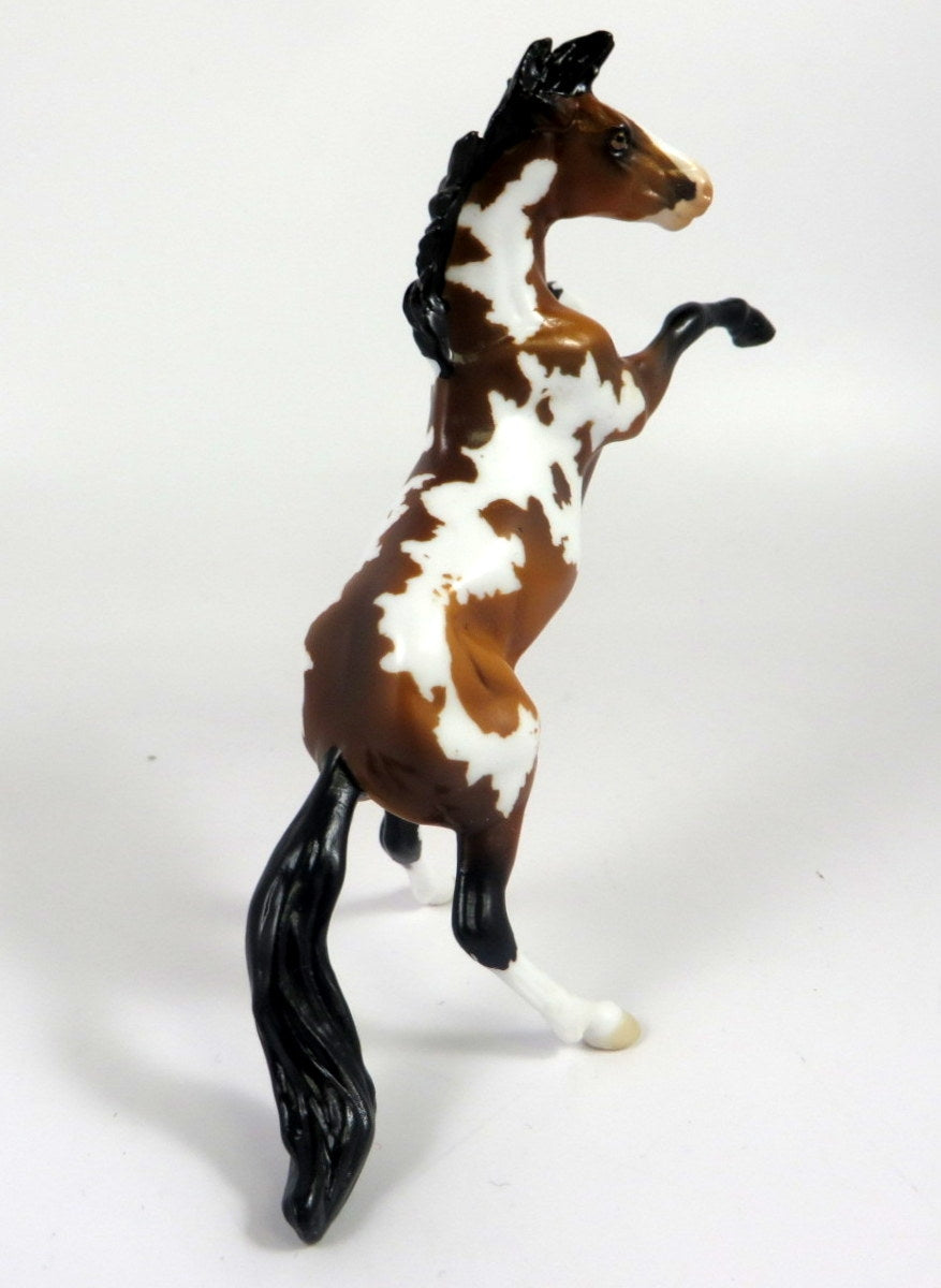 CHUCKLES -- LE-6 BAY PINTO REARING CHIP BY AUDREY DIXON LHS 19