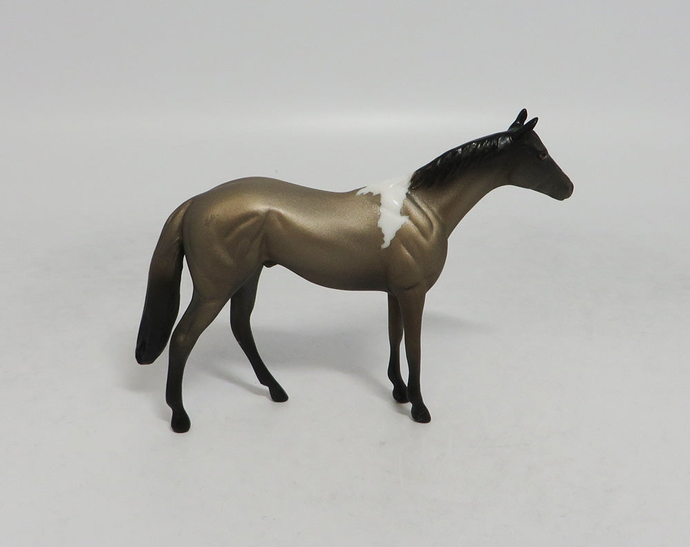 WONDERWALL- OOAK THOROUGHBRED BROWN PINTO CHIP 09/19/2019