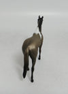 WONDERWALL- OOAK THOROUGHBRED BROWN PINTO CHIP 09/19/2019