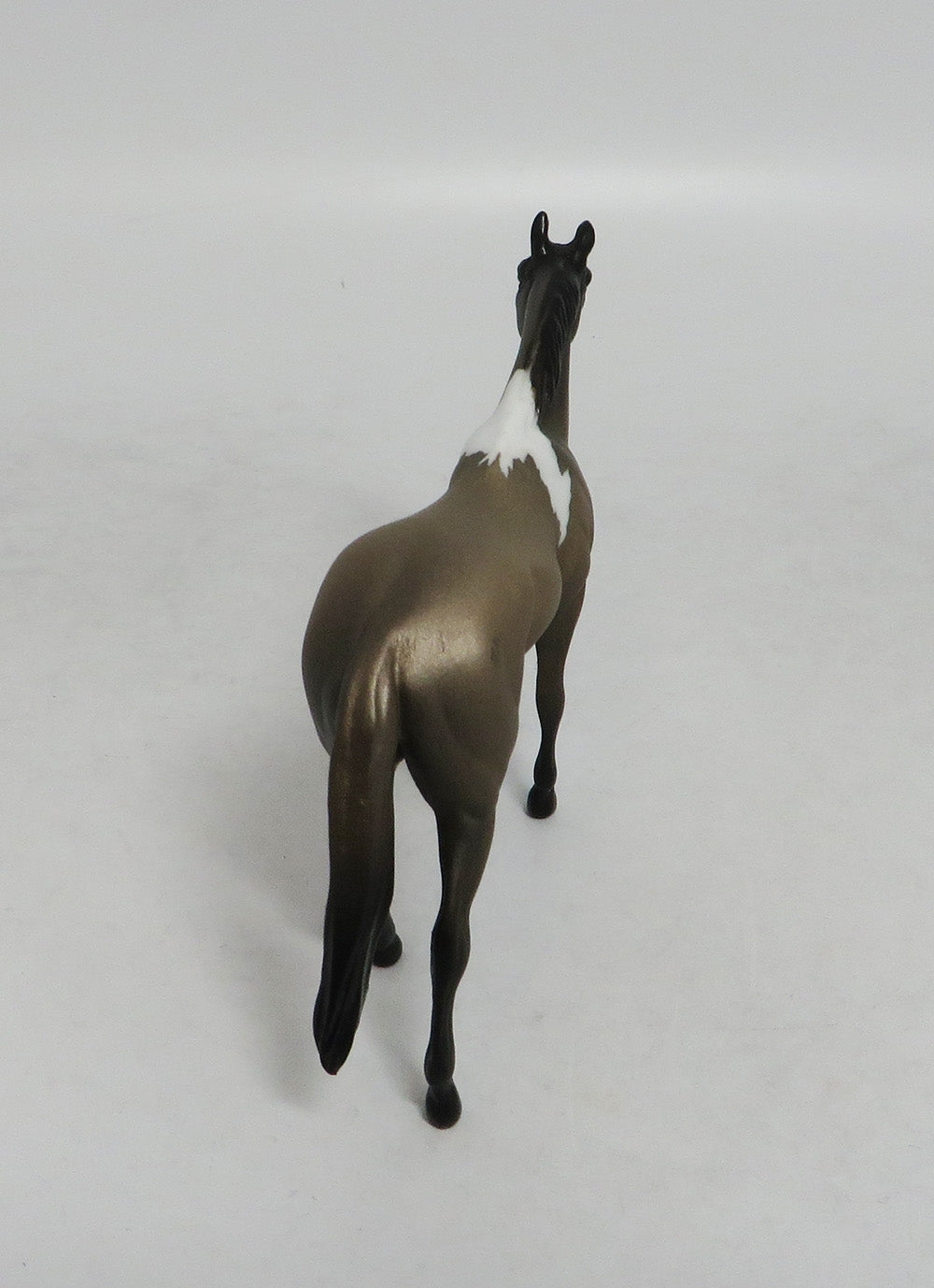 WONDERWALL- OOAK THOROUGHBRED BROWN PINTO CHIP 09/19/2019