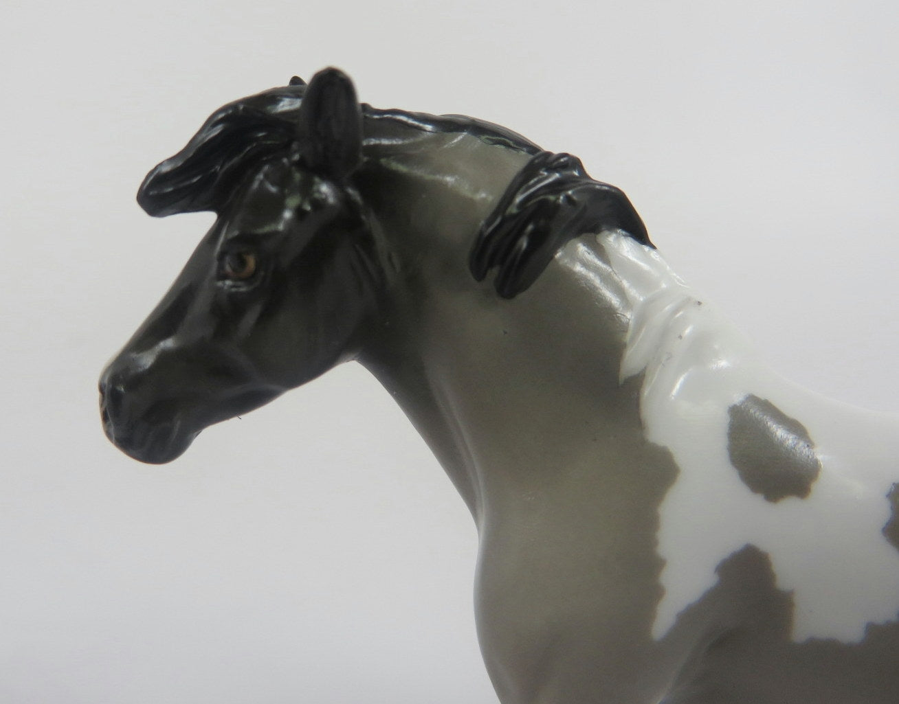 URSULA -LE-5 GREY PINTO PONY CHIP BY AUDREY DIXON LHS 19