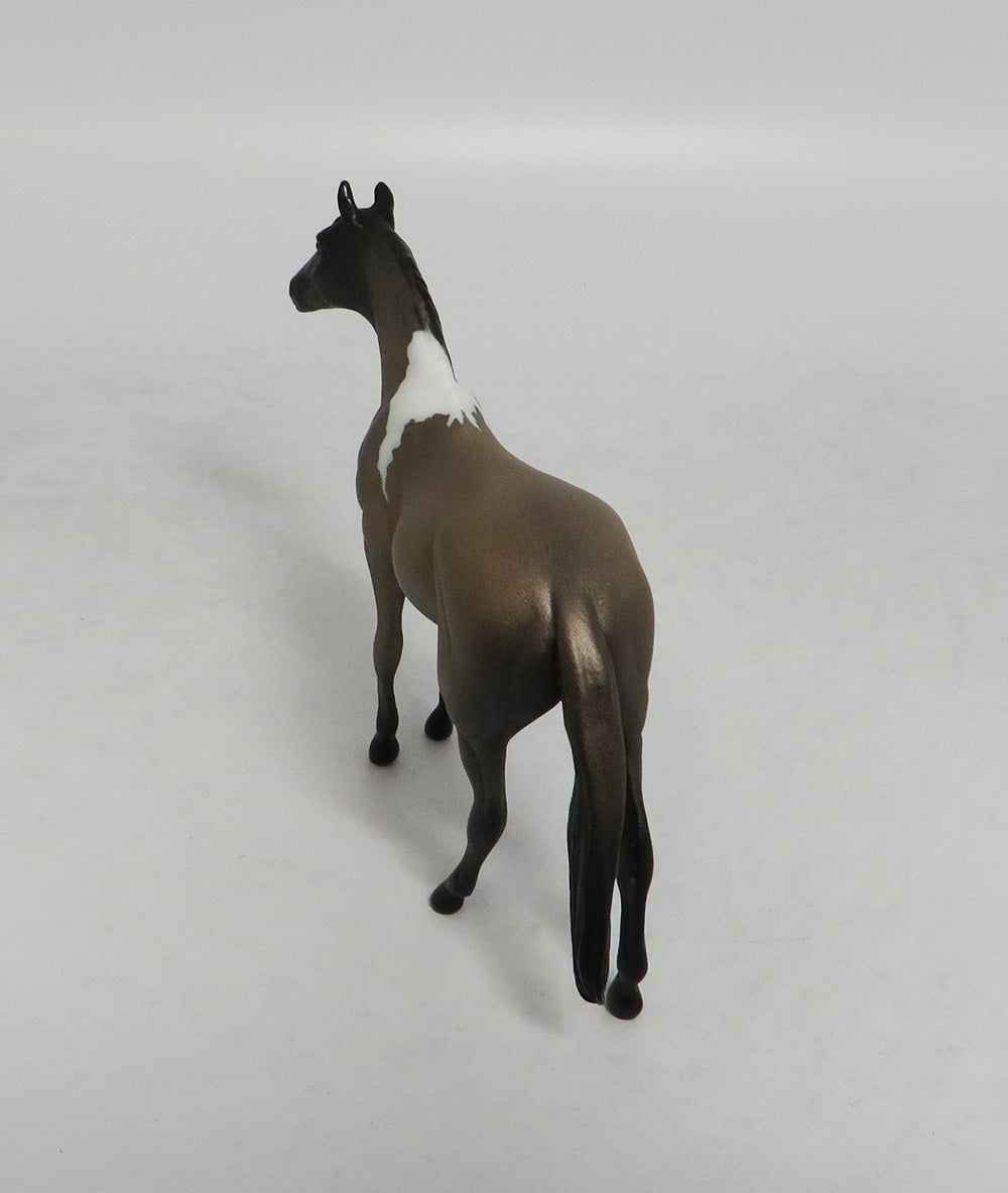 WONDERWALL- OOAK THOROUGHBRED BROWN PINTO CHIP 09/19/2019