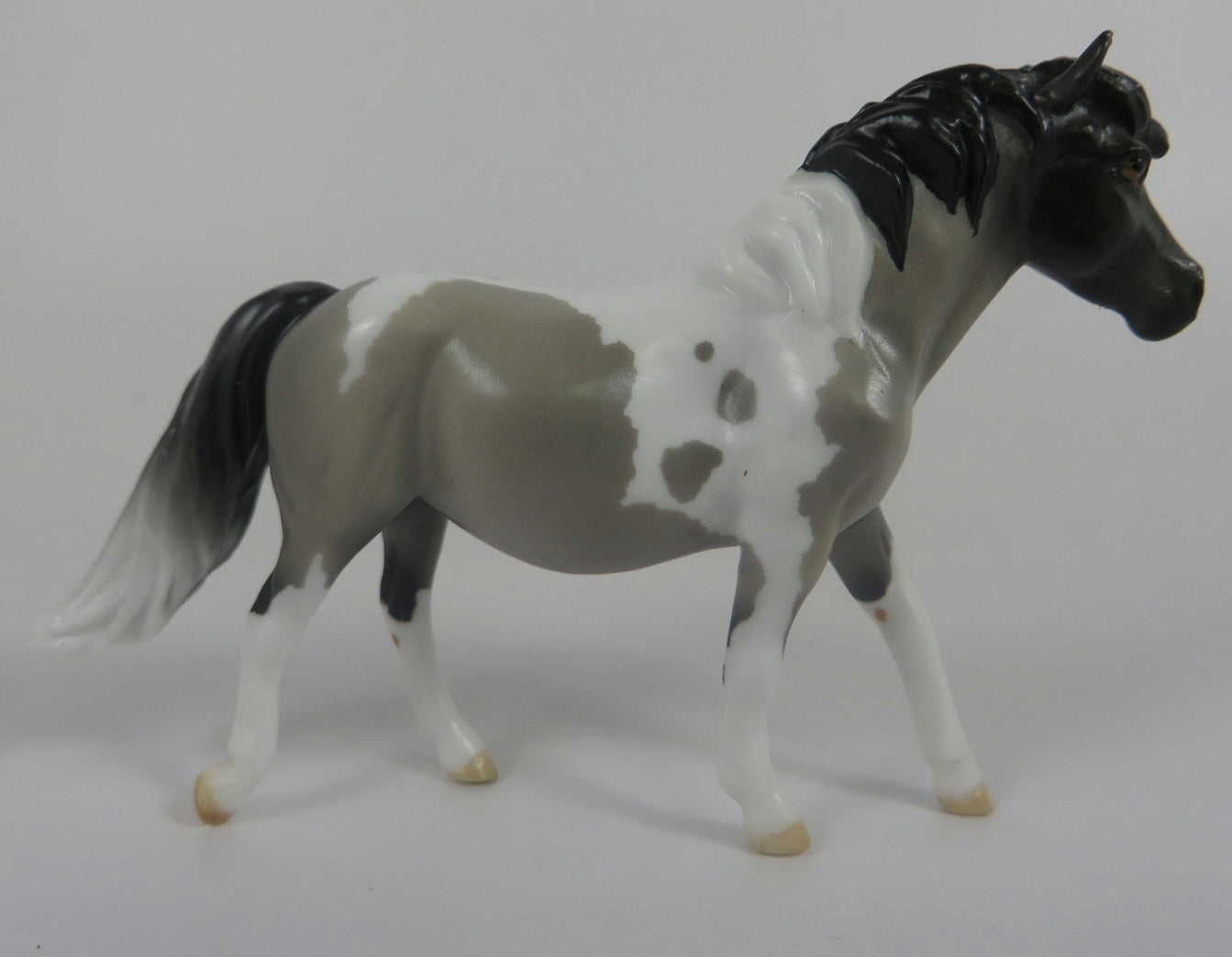 URSULA -LE-5 GREY PINTO PONY CHIP BY AUDREY DIXON LHS 19