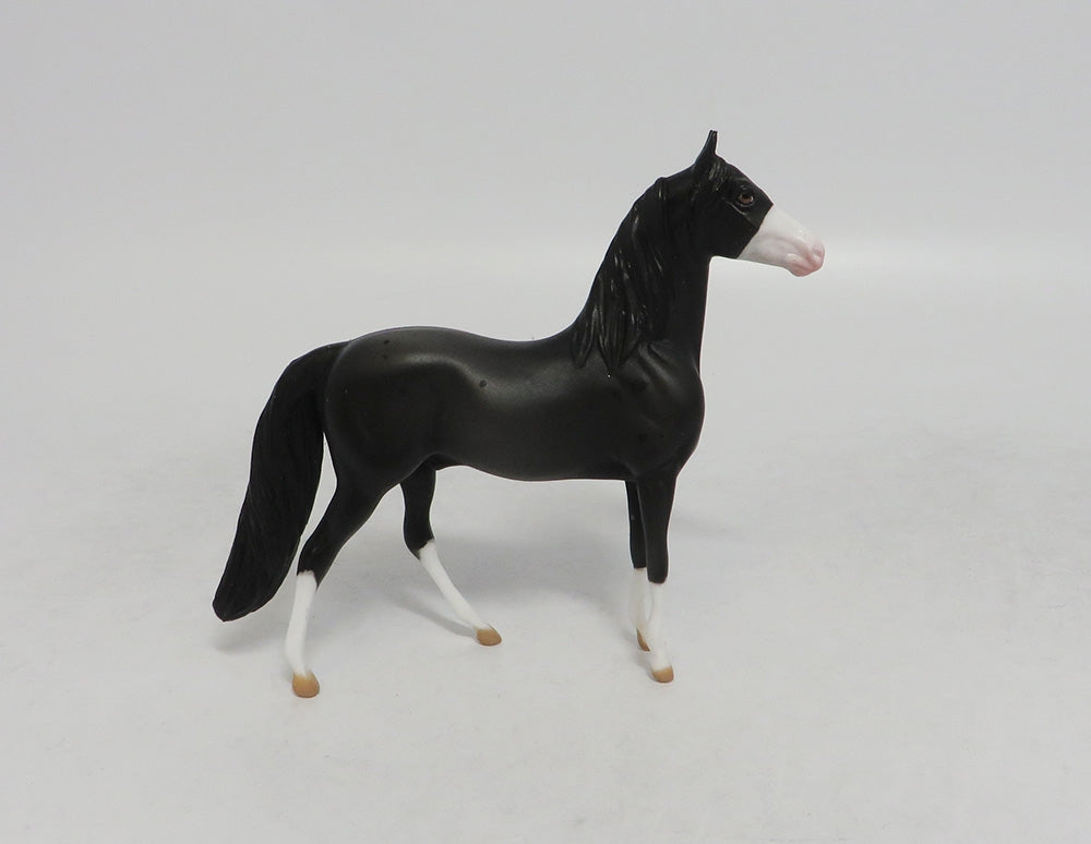 INTREPID THUNDER- OOAK BLACK MORGAN  CHIP 09/19/2019