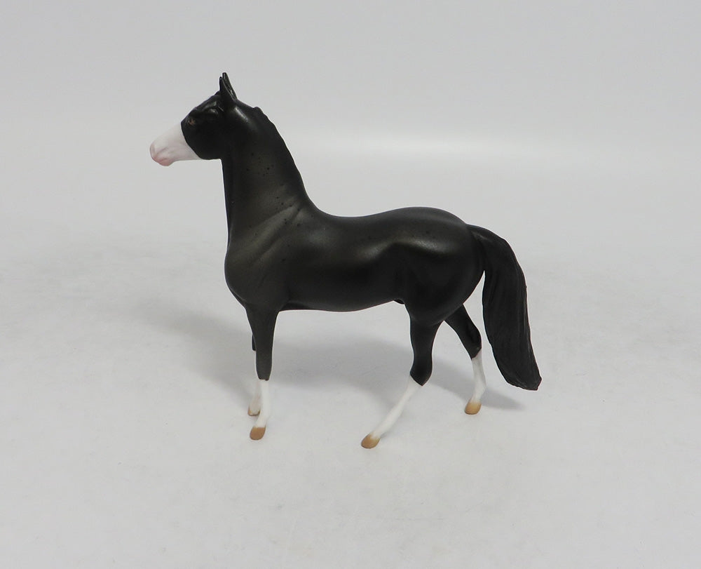 INTREPID THUNDER- OOAK BLACK MORGAN  CHIP 09/19/2019