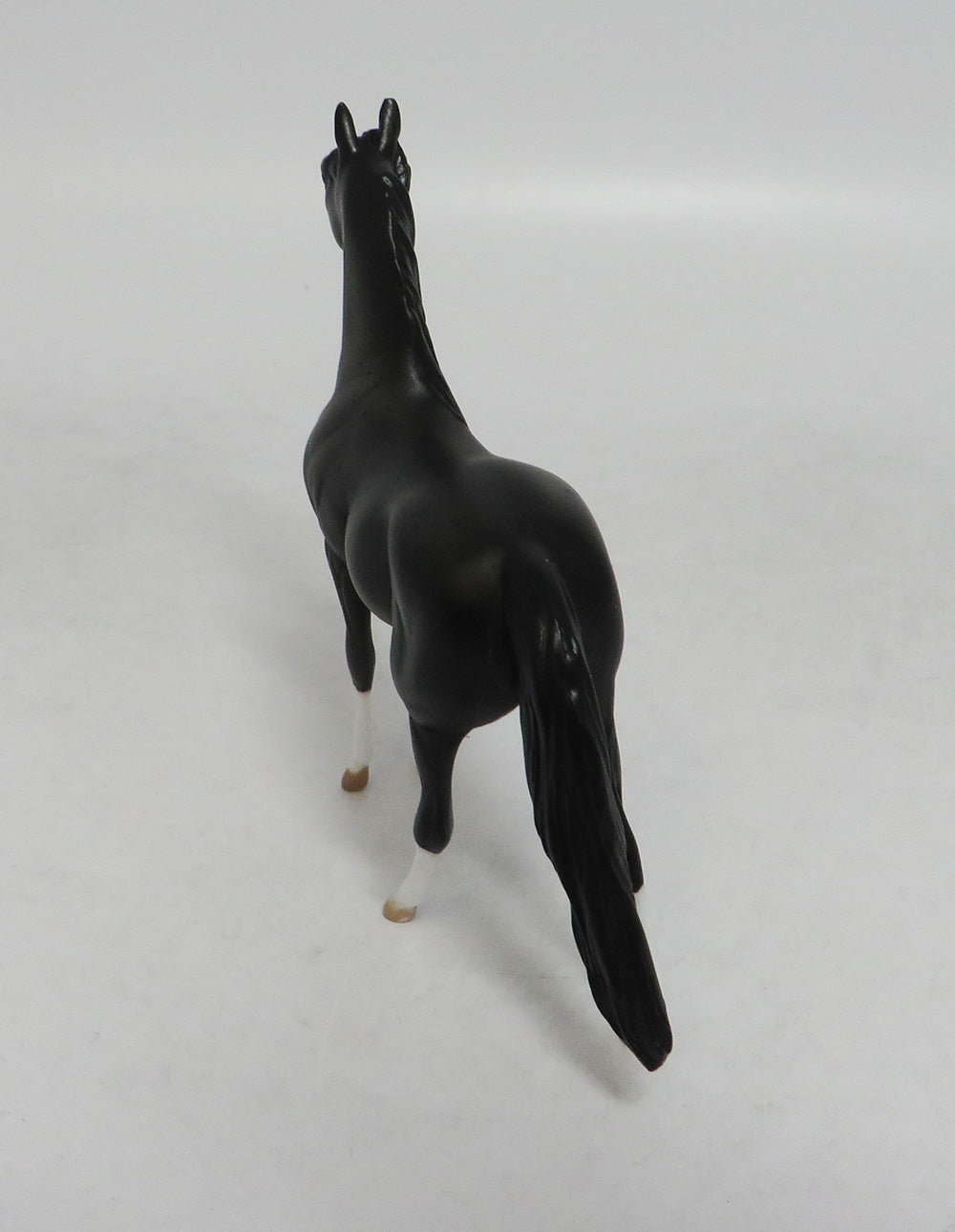 INTREPID THUNDER- OOAK BLACK MORGAN  CHIP 09/19/2019