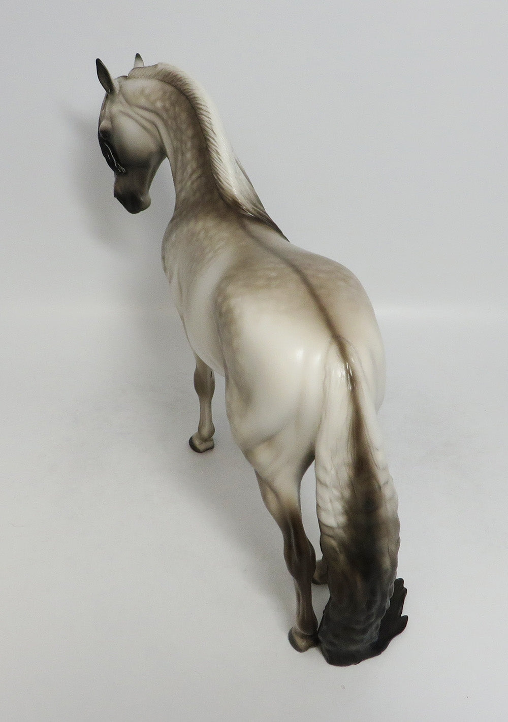 SANTA MONICA-OOAK STAR DAPPLE GRULLA ANDALUSIAN MODEL HORSE 9/14/18