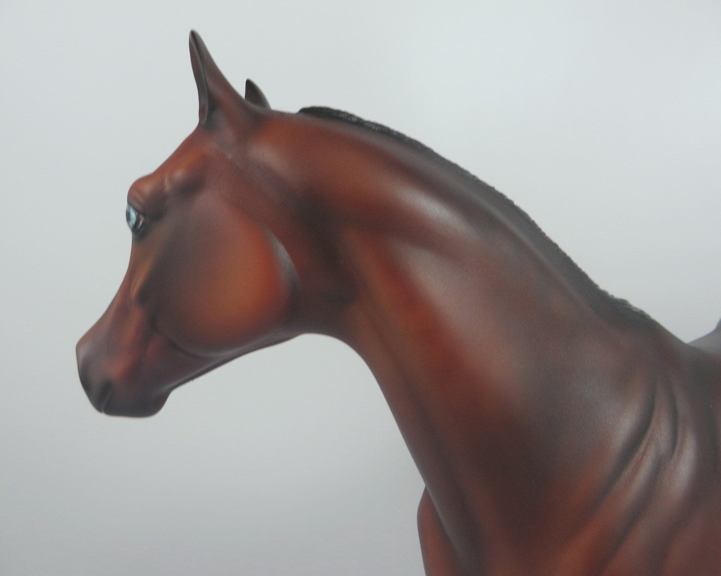 LADY ROSE -- LE-5 BAY WITH FLOWERS   CM ISH BY JULIE KEIM LHS 19