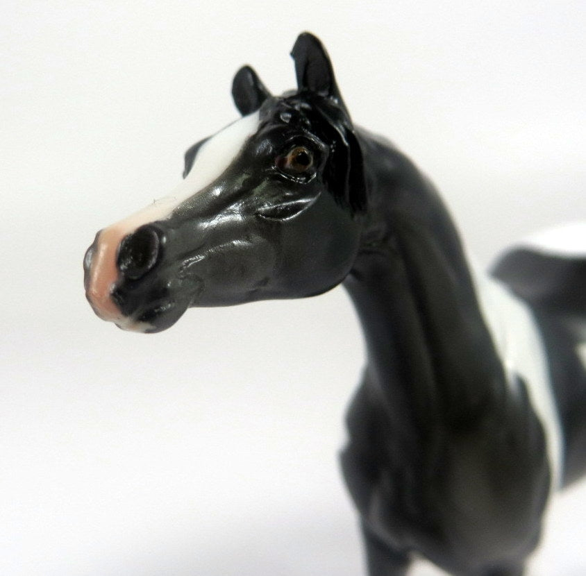 ANTOINETTE CONCELLO-OOAK GREY PINTO ARABIAN CHIP LHS 19