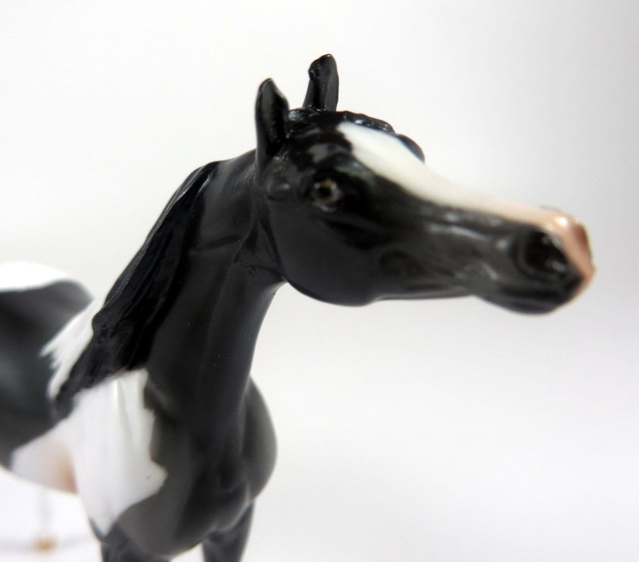 ANTOINETTE CONCELLO-OOAK GREY PINTO ARABIAN CHIP LHS 19