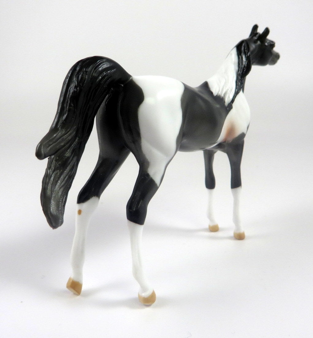 ANTOINETTE CONCELLO-OOAK GREY PINTO ARABIAN CHIP LHS 19